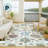 Machine Washable Indoor/Outdoor Chantille ACN2532 Traditional Rug-1229379372-1229379366
