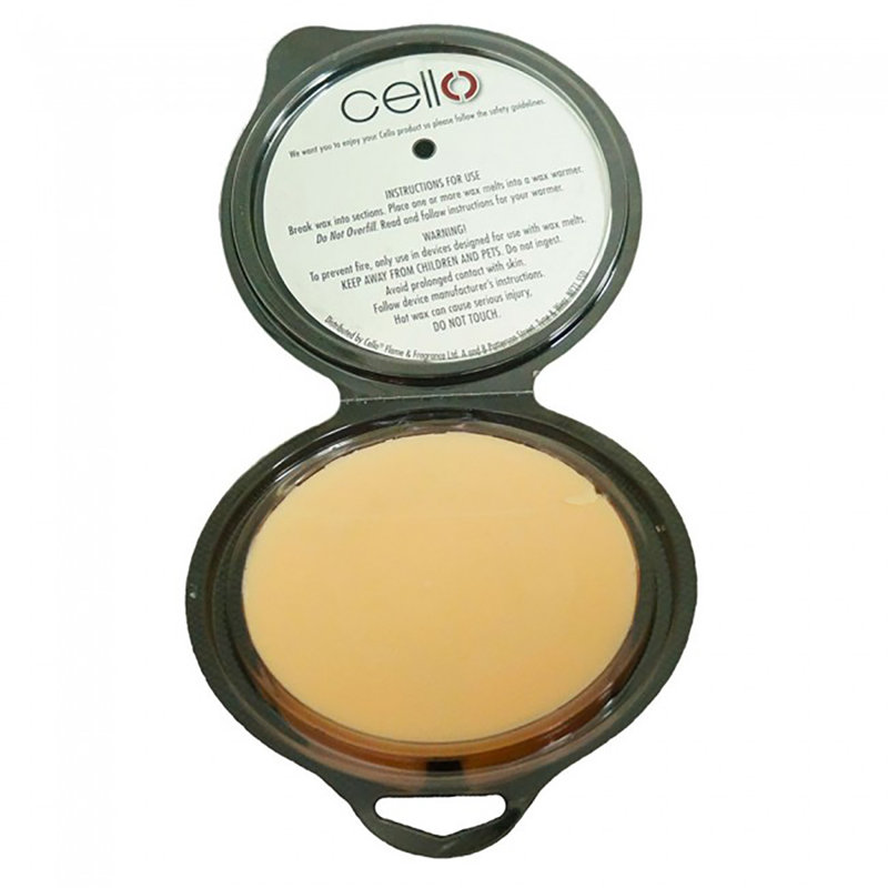 Ginger Fizz Scented Wax Melt