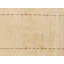 Nochum Area Rug in Ivory