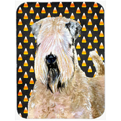 Caroline's Treasures Halloween Candy Corn Soft Coated Wheaten Terrier Glass Cutting Board