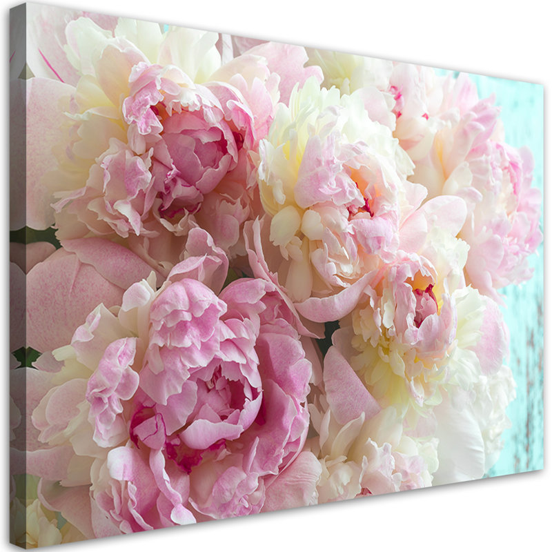Pink Peony Flowers - No Frame Print on Canvas, 80cm H x 120cm W