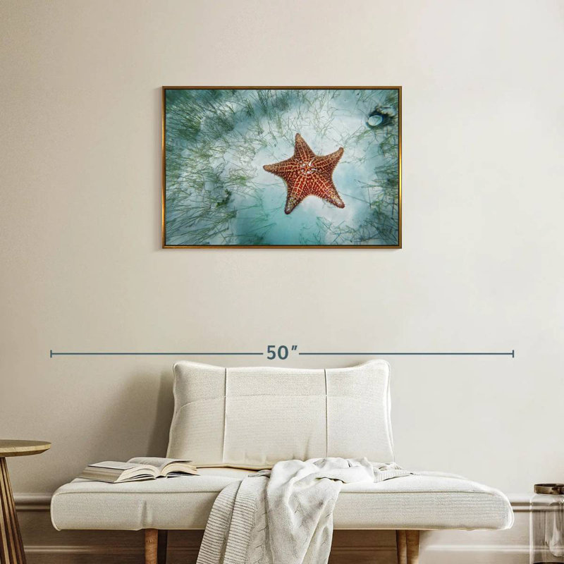 Étoile de mer peu profonde, Cadre flottant doré, 31 po x 21 po