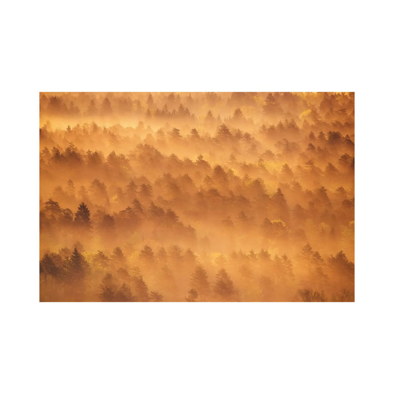 Golden Morning 1 Piece Wrapped Canvas Wall Art