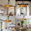 Luminaire suspendu Tiffany 5 lumières Chapple