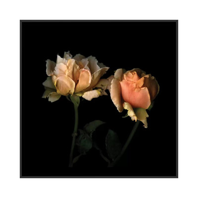 La vie en rose par Magda Indigo - reproduction de photo