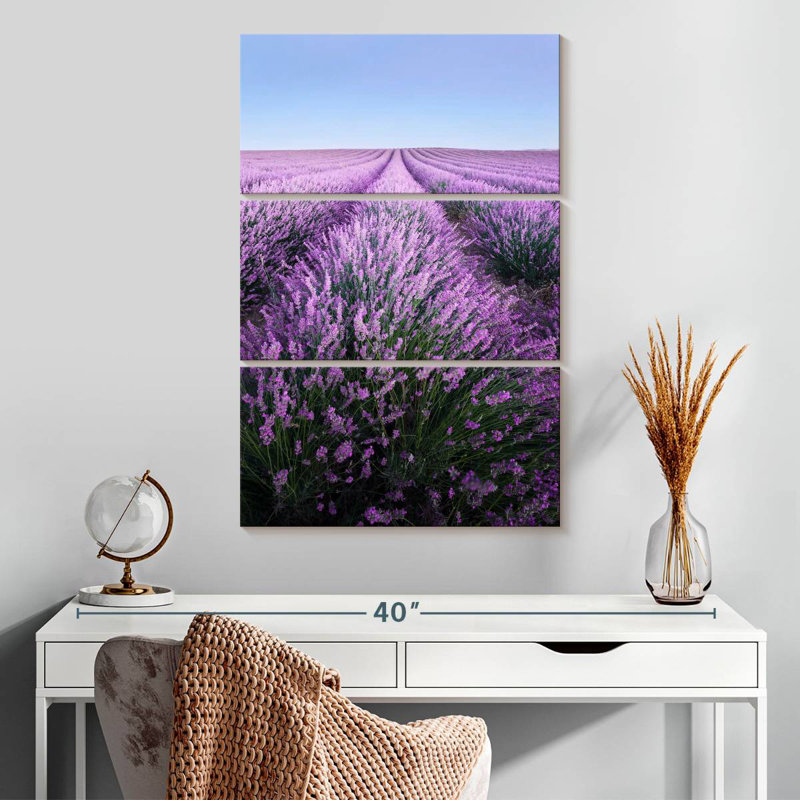 Lavande française Alvord Provence, H 32 po x l 20 po