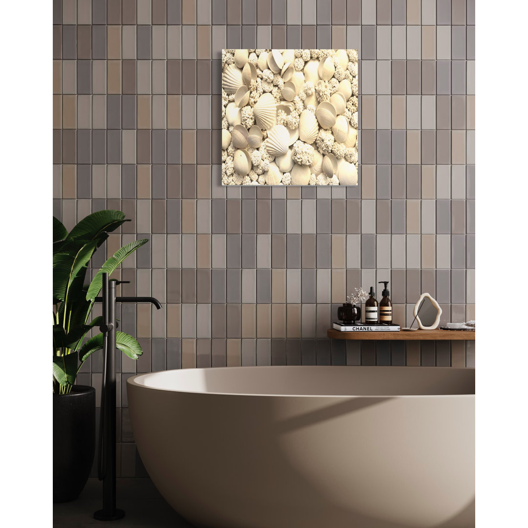 3D Seashells Wall Art on Canvas - No Frame Print Seashells Wall Art