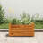 Raised Bed Brown Acacia Wood with Oil Finish Compact Durable Outdoor Garden