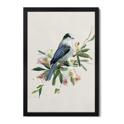 «Spring Song Gray Jay», reproduction d'art murale, affiche de galerie