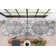 Granada Transitional Oriental Medallion Pattern Grey Rug