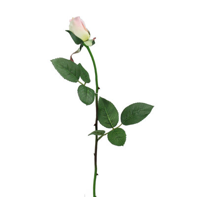 Rose Arrangement