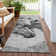 Machine Washable Indoor/Outdoor Cinead ACN1718 Gray Rug
