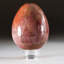 Petrified Wood Egg-124930752-124930756