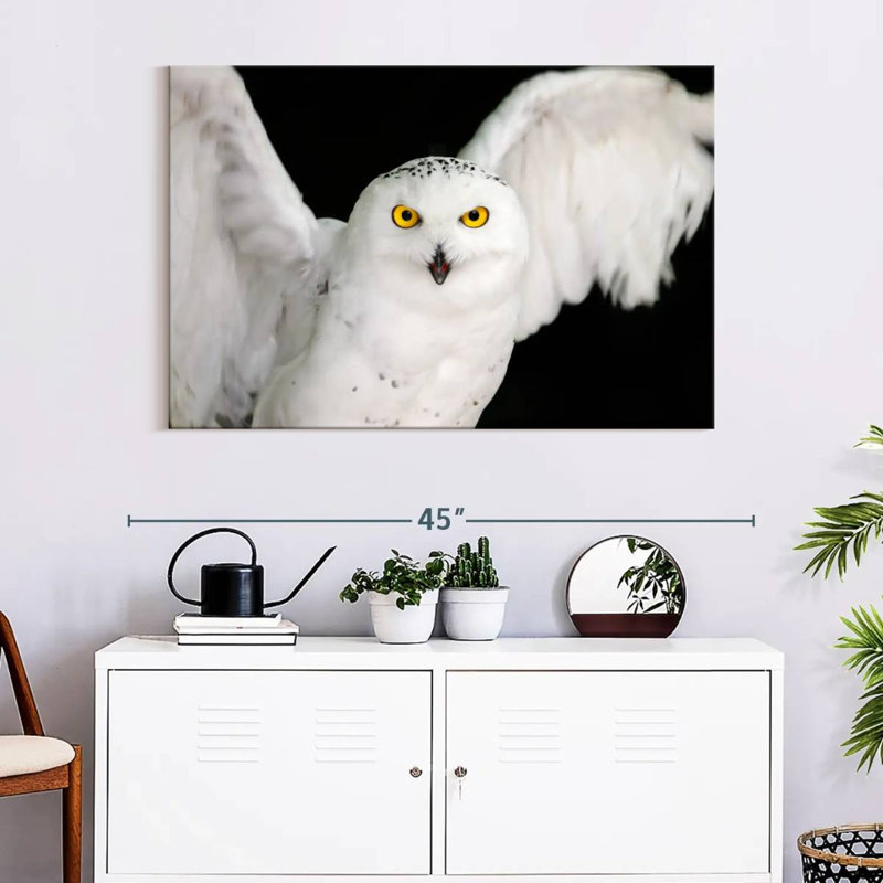 Brampt White Owl, 26" H x 39" W