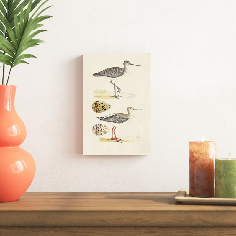 «Sandpipers and Eggs I», impression sur toile, H 12 po x l 8 po