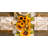 Johansen Floral 100% Cotton Table Runner-294745075