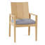 Ashland Patio Dining Armchair with Cushions-749763353-727570218-719472043