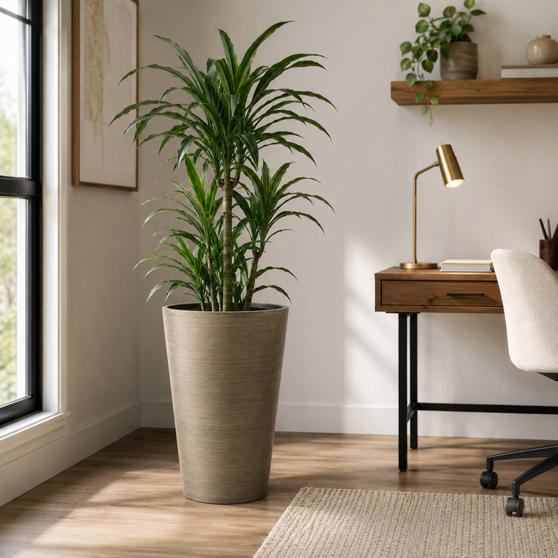 Grand pot à fleurs Miley, Taupe, H 24 po x l 16 po x P 16 po
