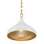1 luminaire suspendu