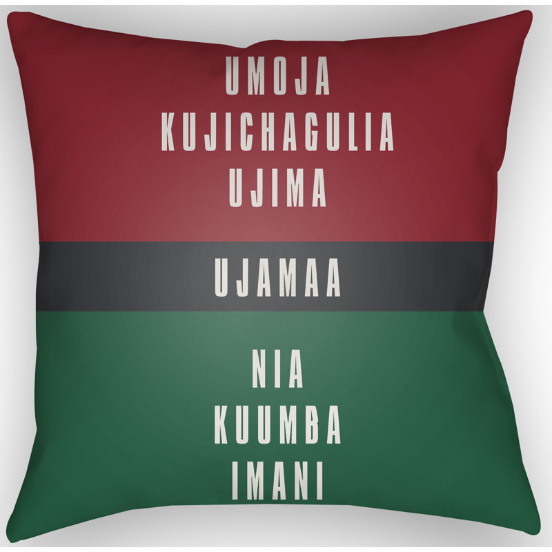 Indoor/Outdoor Throw Pillow, 20" H x 20" W x 4" D, Red/White/Black/Green