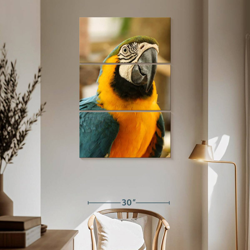 Brampt Exotic Macaw, 65" H x 42" W