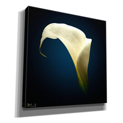 "Lily Lily 1" par Mark Ashkenazi