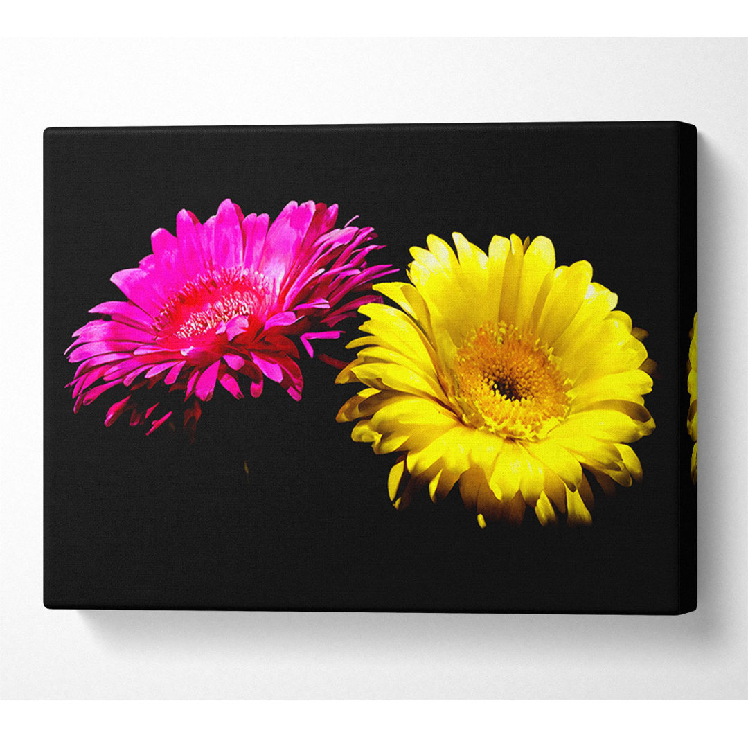 Rosa und gelbe Gerbera Delight - Kunstdrucke auf Segeltuch