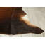 Tapis exotique fait à la main Carys