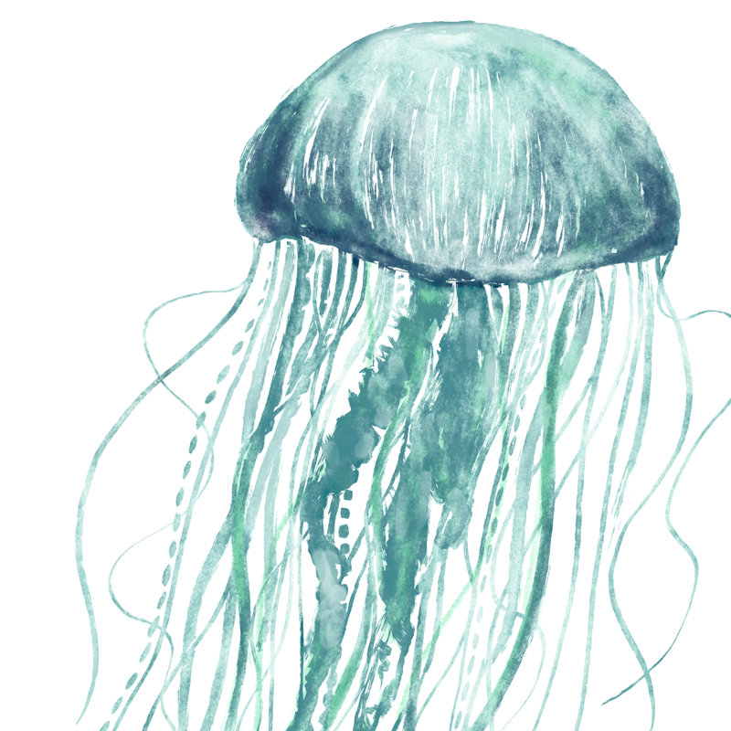 «Jellyfish Swim On», reproduction sur toile, H 12 po x l 12 po