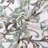 Ravello Scroll Damask Curtain Panels-43602355-47821528