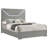 Pierce Grey High Gloss Queen Panel Bed LED Headboard
