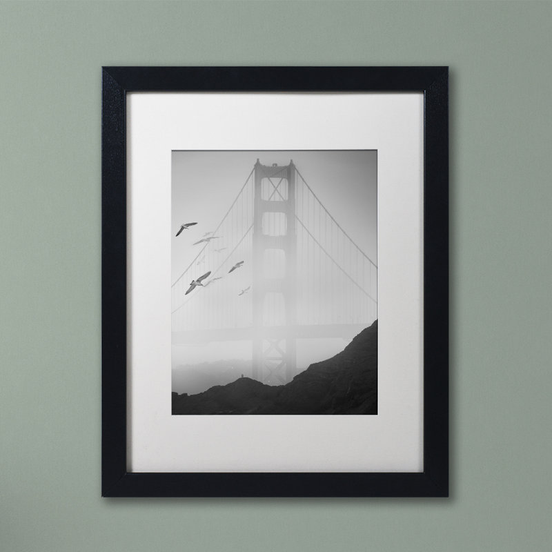 «Golden Gate Pier and Birds I», reproduction de photo sur toile encadrée, H 20 po x l 16 po x P 0,5 po, Cadre noir, Blanc