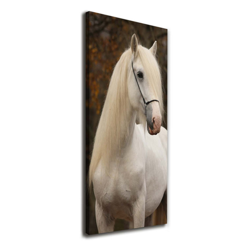 White Horse - Wrapped Canvas Print