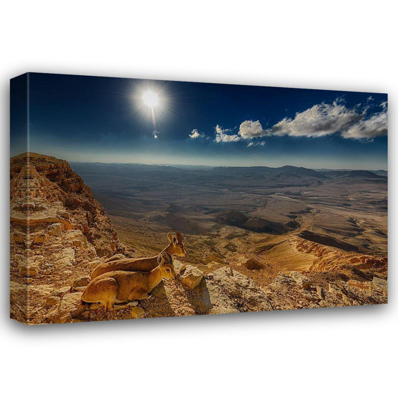 Red Barrel Studio® Meirovich, Ido Gallery Wrapped Canvas Art Titled: Morning View, 35" H x 48" W