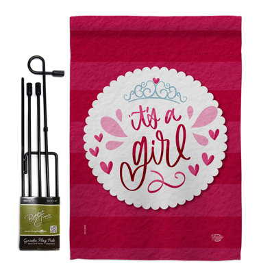 Double Sided 18.5'' H x 13'' W Polyester New Baby Flag Set
