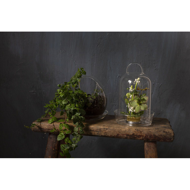 Juhani Handmade Glass Terrarium