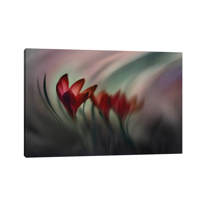 Crocus 1 Piece Wrapped Canvas Wall Art, 20.32 cm H x 30.48 cm W