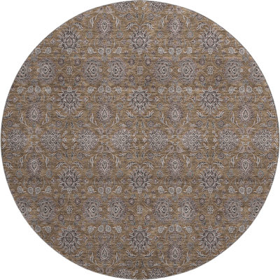 Premium Machine Washable Prisco Chocolate Rug