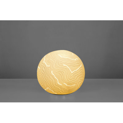 Baryn Novelty Lamp