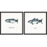 Lavaca Salmon And Cod by Marmont Hill - 2 Piece Single Picture Frame Painting Set