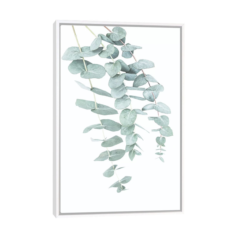 «Eucalyptus II» par Sissi et Seb - impression d'art graphique, Toile blanche encadrée, H 40 po x l 26 po x P 1,5 po