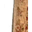 Hand Woven Cotton and Wool Oriental Area Rug