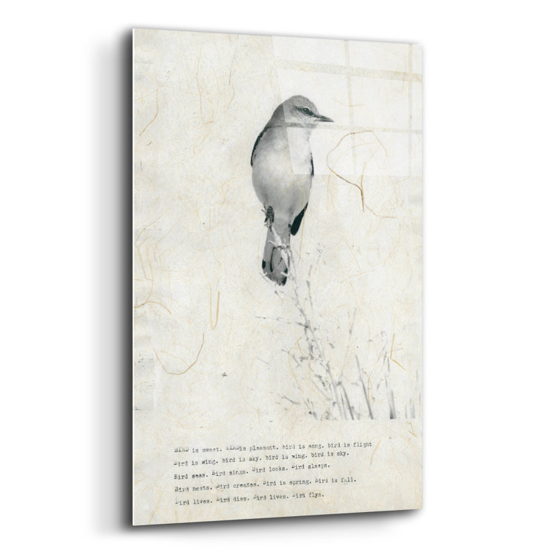 «Bird Is Sweet» par TypeLike, H 24 po x l 16 po x P 0,2 po