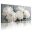 Plantes et fleurs, pivoines blanches, ensemble de 3 impressions sur toile-985122194