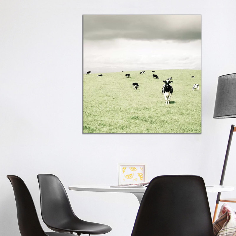 Curious Cows by Lupen Grainne - Wrapped Canvas Print, 93.98 cm H x 93.98 cm W x 1.91 cm D