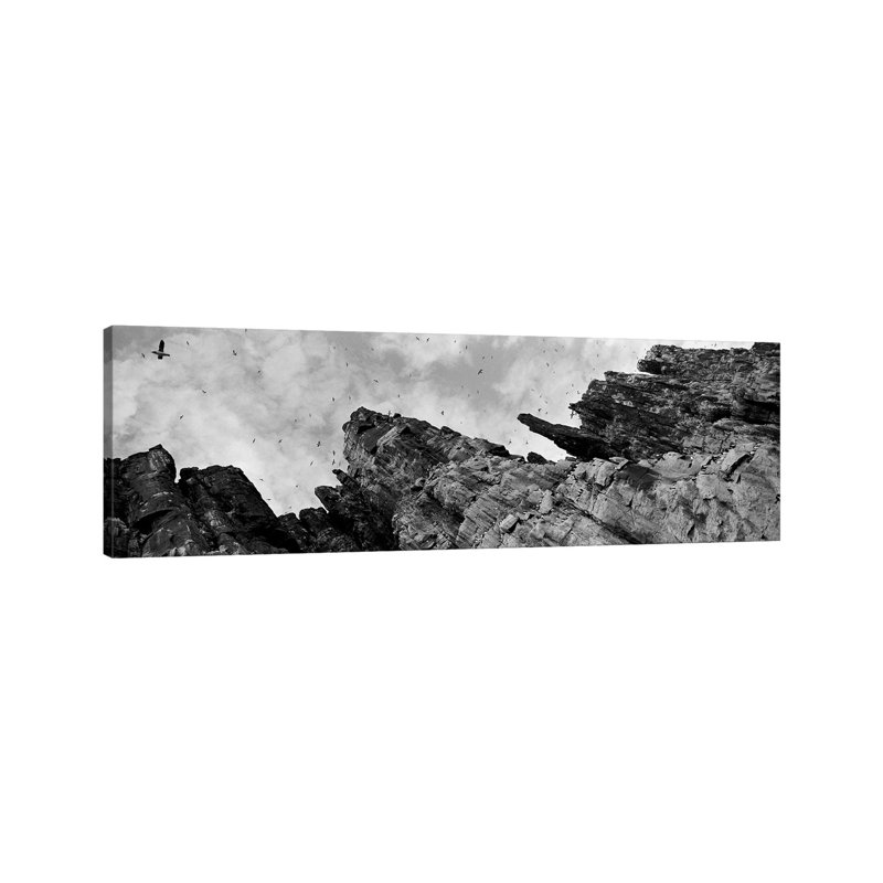 Birds Nesting In Cliffs, Norway - Wrapped Canvas Panoramic Print, 182.88 cm H x 60.96 cm W
