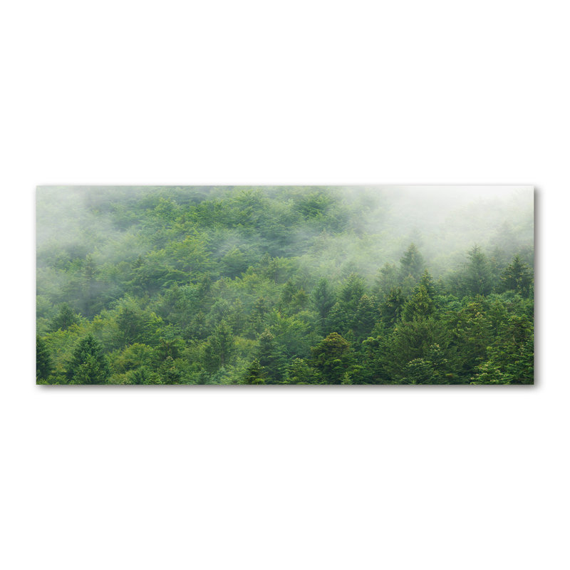 Mysterious Forest - Wrapped Canvas Print, 50cm H x 125cm W, Canvas