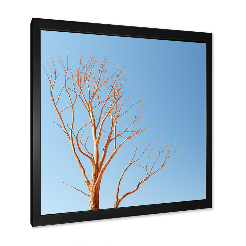 «Blue Timbers Trace Photo I», reproduction sur toile, Cadre simple noir, H 36 po x l 36 po x P 1,5 po
