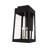 Antionetta Wall Light