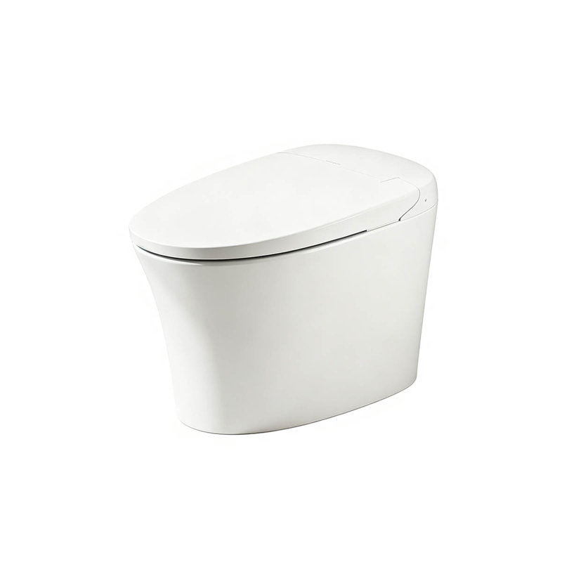 12" Rough-In Smart Bidet Toilet with Auto Flush on Exit, Heated Seat, Manual Flush for Power Outage, Multi-Functional